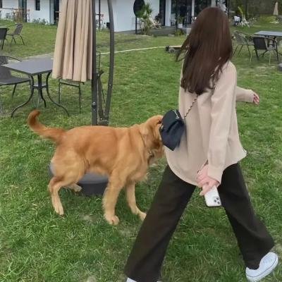 女独臂刀